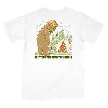 Only You Can Prevent Wildfires