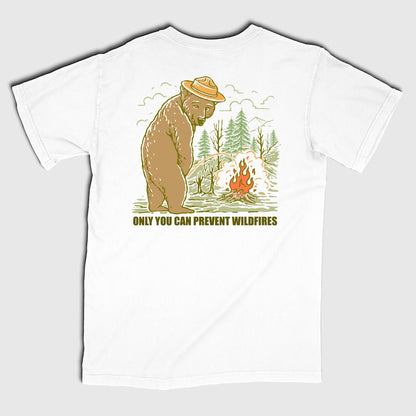 Only You Can Prevent Wildfires